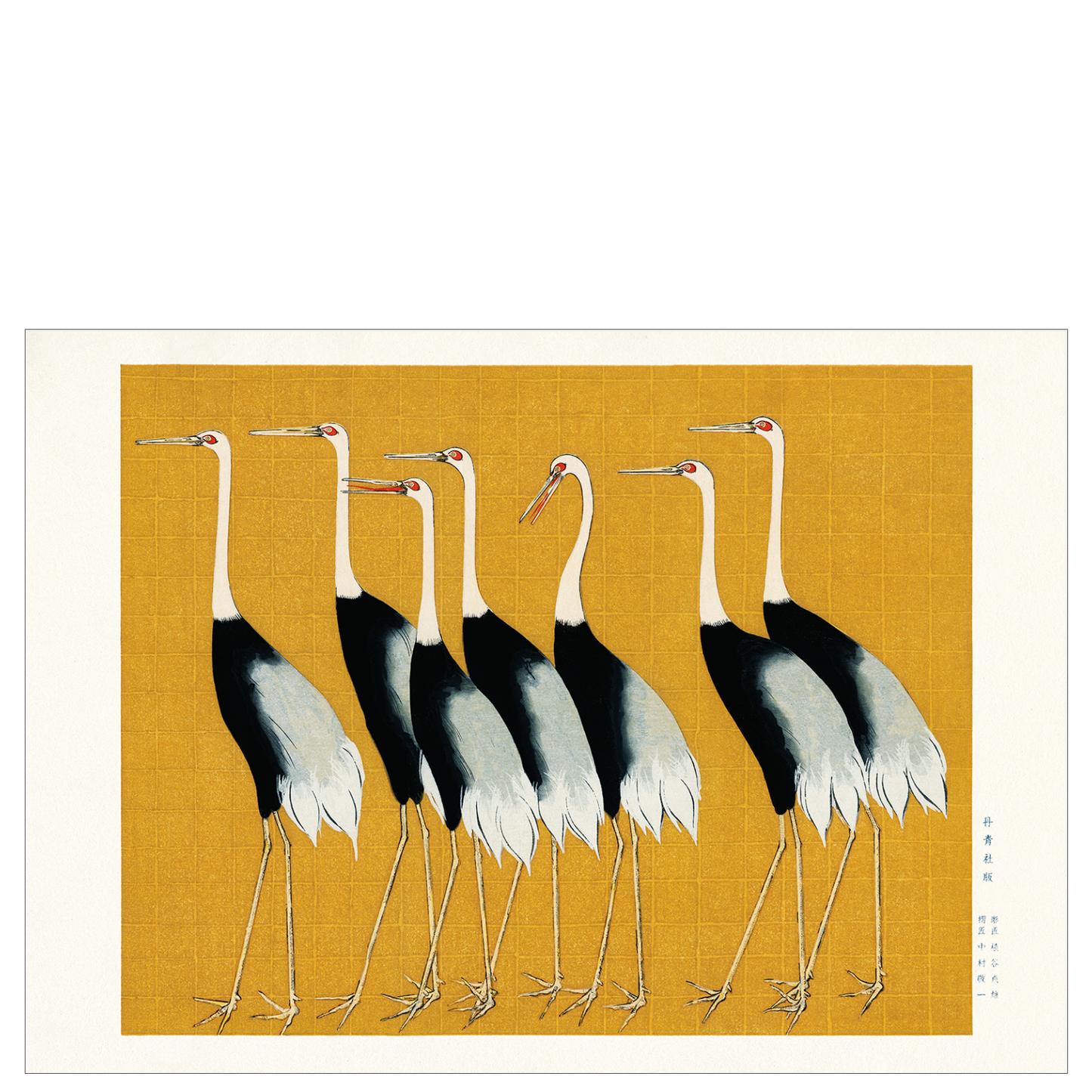 Gray cranes