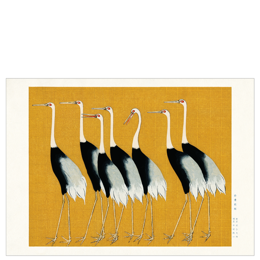 Gray cranes