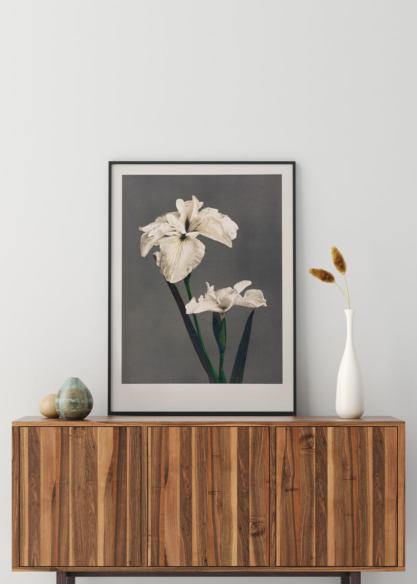 Iris collotype – Pepperholm
