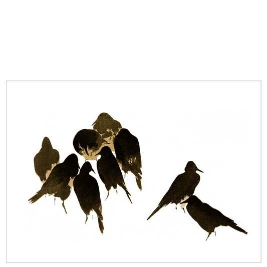 Nine crows